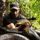 Image for article titled Television, perfected: Discovery feeds a man to a giant snake